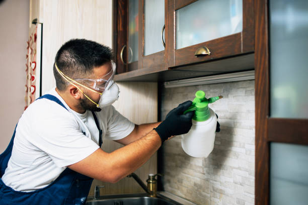 Best Best Pest Control Near Me  in Manti, UT