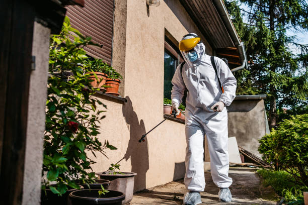 Best Pest Inspection Near Me  in Manti, UT