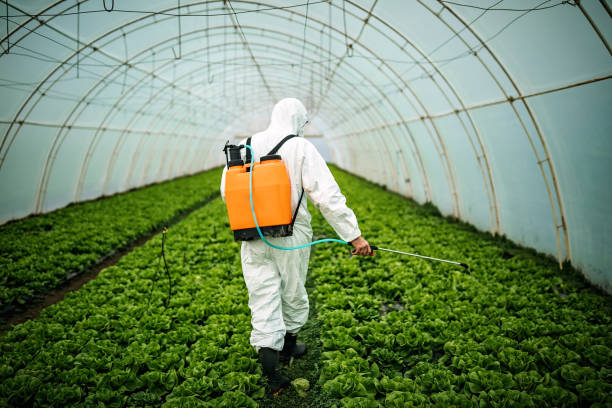 Best Pest Control Near Me  in Manti, UT