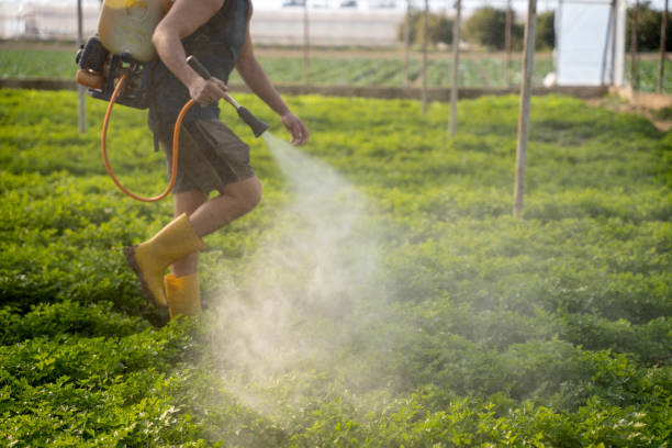 Best Best Pest Control Companies  in Manti, UT