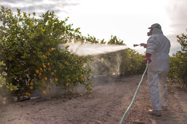 Best Commercial Pest Control Services  in Manti, UT