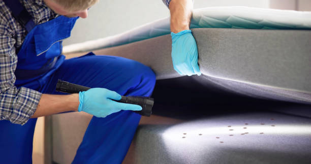 Best Termite Control Services  in Manti, UT