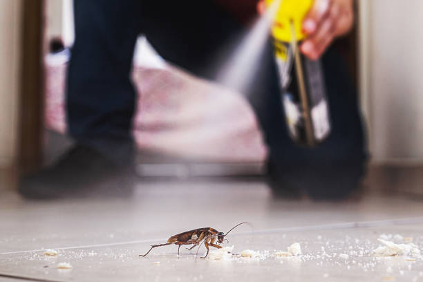 Best Flea Control Services  in Manti, UT