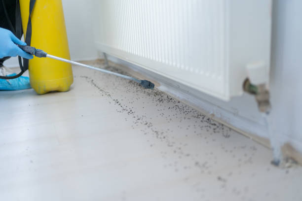 Best Commercial Pest Control Services  in Manti, UT